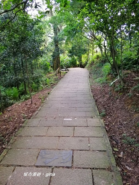 IMG_20201001_151353.jpg IMG_20201001_151353.jpg