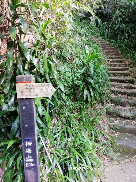 IMG_20201001_151631.jpg IMG_20201001_151631.jpg