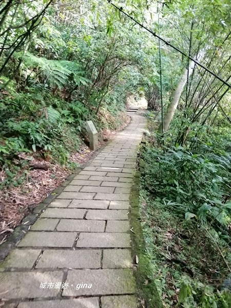 IMG_20201001_151728.jpg IMG_20201001_151728.jpg