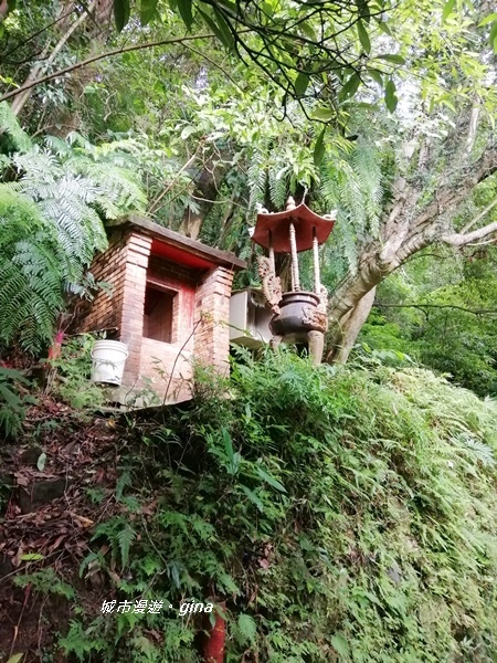 IMG_20201001_152436.jpg IMG_20201001_152436.jpg