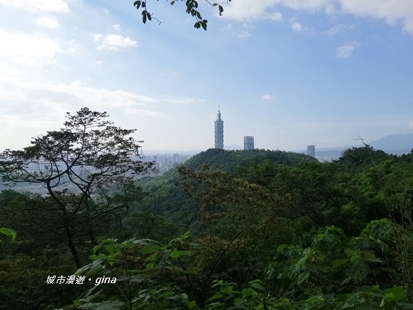 IMG_20201001_152347.jpg IMG_20201001_152347.jpg