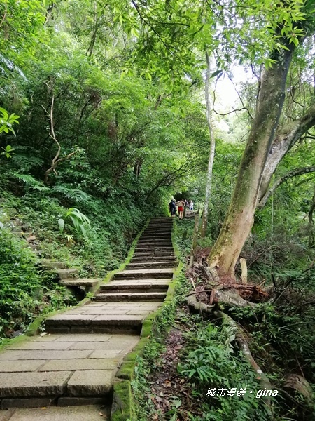 IMG_20201001_152507.jpg IMG_20201001_152507.jpg