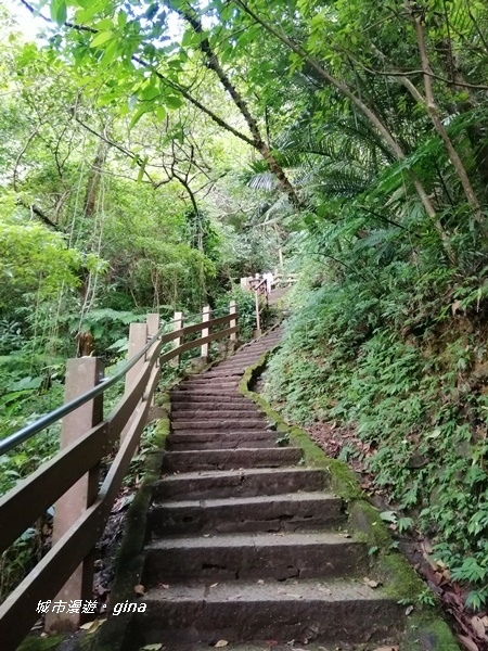 IMG_20201001_153233.jpg IMG_20201001_153233.jpg