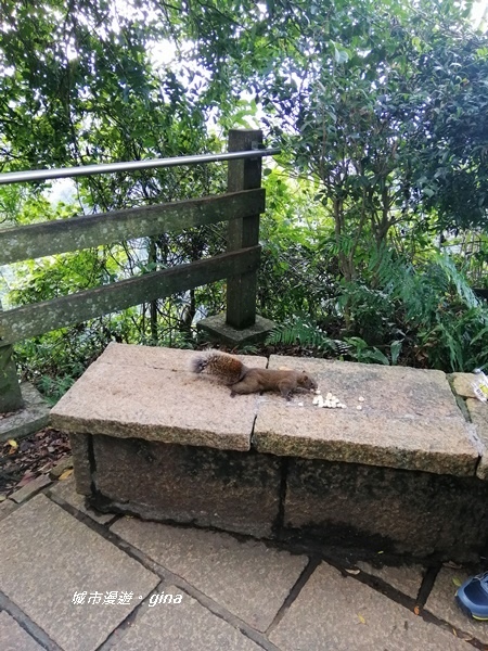 IMG_20201001_153709.jpg IMG_20201001_153709.jpg