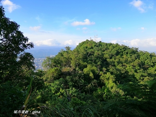 IMG_20201001_162732.jpg IMG_20201001_162732.jpg