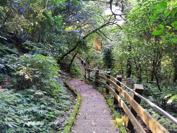 IMG_20201001_164128.jpg IMG_20201001_164128.jpg