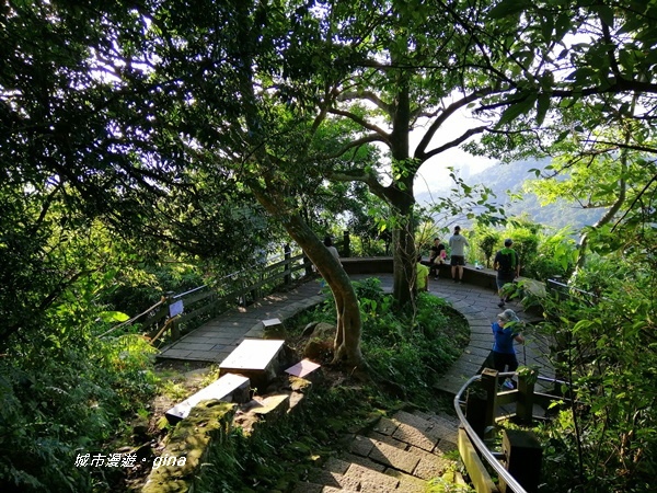 IMG_20201001_163952.jpg IMG_20201001_163952.jpg