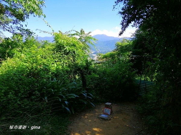 【台北士林】交通便捷的親民步道。 No9小百岳劍潭山