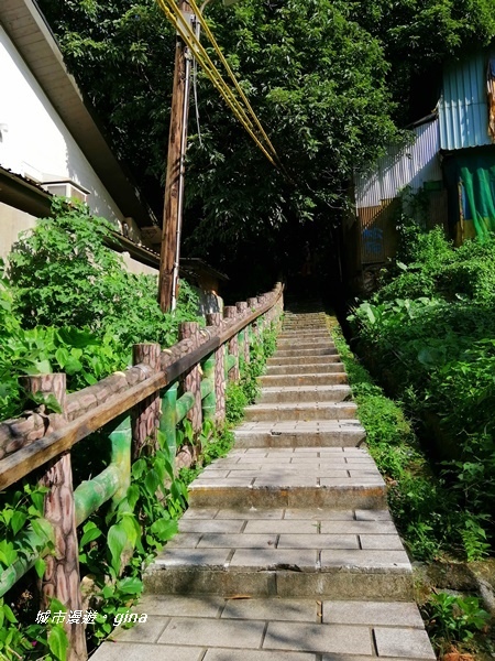 IMG_20201002_084631.jpg IMG_20201002_084631.jpg