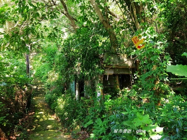 IMG_20201002_084730.jpg IMG_20201002_084730.jpg