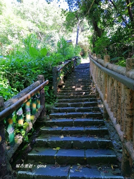 IMG_20201002_084841.jpg IMG_20201002_084841.jpg