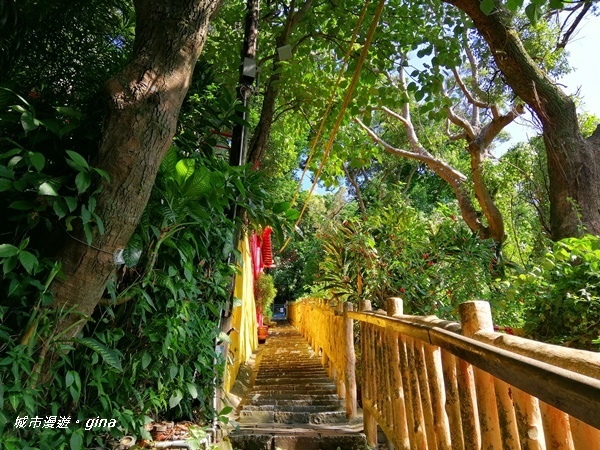 IMG_20201002_085039.jpg IMG_20201002_085039.jpg