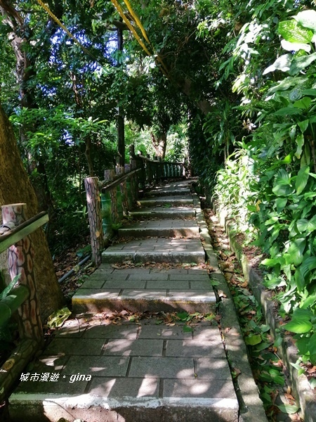 IMG_20201002_085458.jpg IMG_20201002_085458.jpg