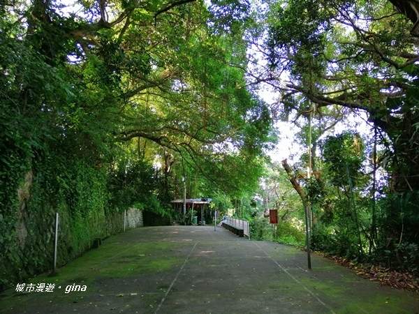 IMG_20201002_090128.jpg IMG_20201002_090128.jpg