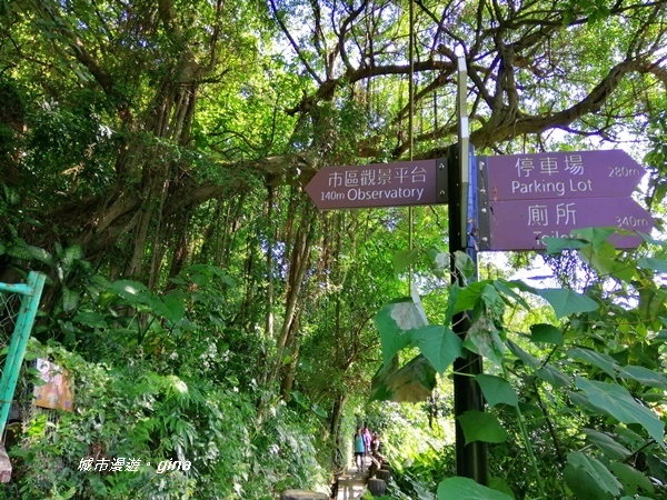 IMG_20201002_085240.jpg IMG_20201002_085240.jpg