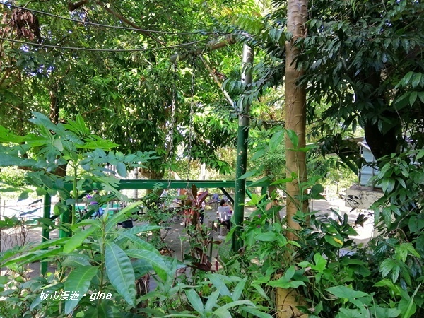 IMG_20201002_085822.jpg IMG_20201002_085822.jpg