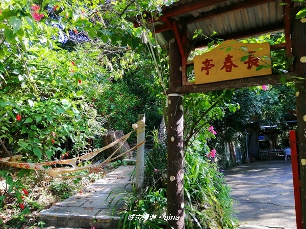 IMG_20201002_090004.jpg IMG_20201002_090004.jpg