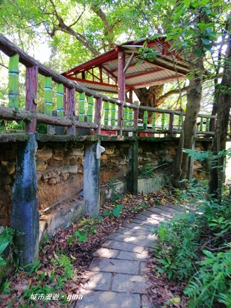 IMG_20201002_090440.jpg IMG_20201002_090440.jpg