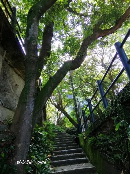 IMG_20201002_090320.jpg IMG_20201002_090320.jpg