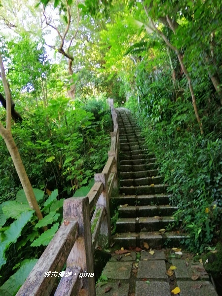 IMG_20201002_090158.jpg IMG_20201002_090158.jpg