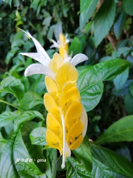 IMG_20201002_090243.jpg IMG_20201002_090243.jpg