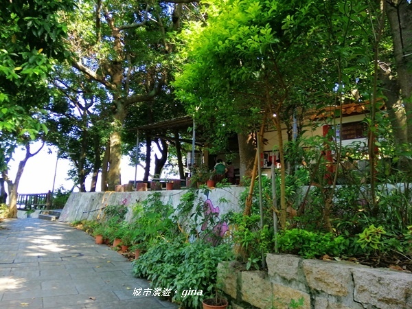 IMG_20201002_090433.jpg IMG_20201002_090433.jpg