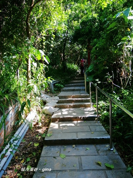 IMG_20201002_090619.jpg IMG_20201002_090619.jpg