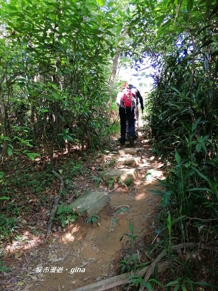 IMG_20201002_090855.jpg IMG_20201002_090855.jpg