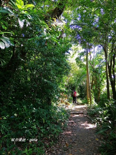 【台北士林】交通便捷的親民步道。 No9小百岳劍潭山