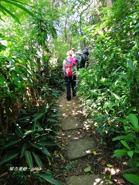 IMG_20201002_090951.jpg IMG_20201002_090951.jpg