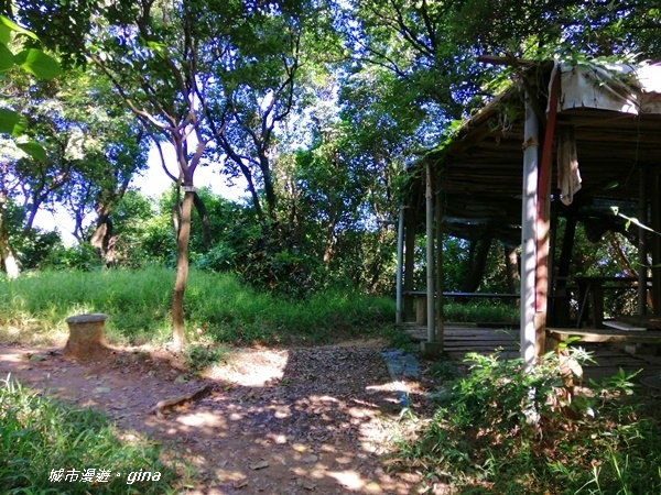 IMG_20201002_090917.jpg IMG_20201002_090917.jpg