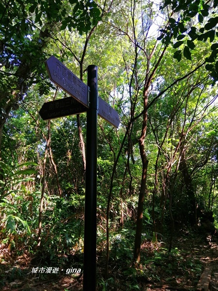 IMG_20201002_090846.jpg IMG_20201002_090846.jpg