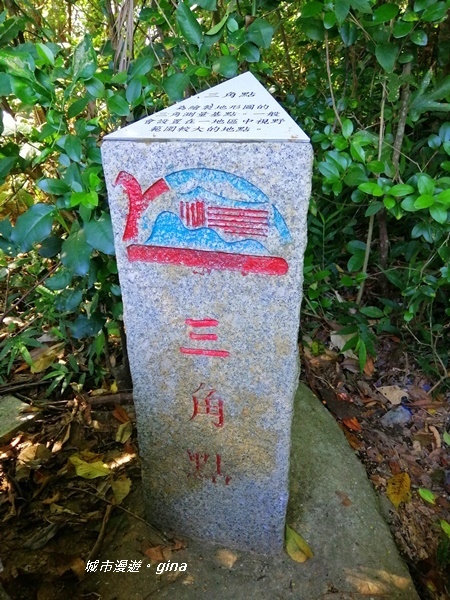 IMG_20201002_091341.jpg IMG_20201002_091341.jpg