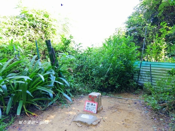 IMG_20201002_091328.jpg IMG_20201002_091328.jpg