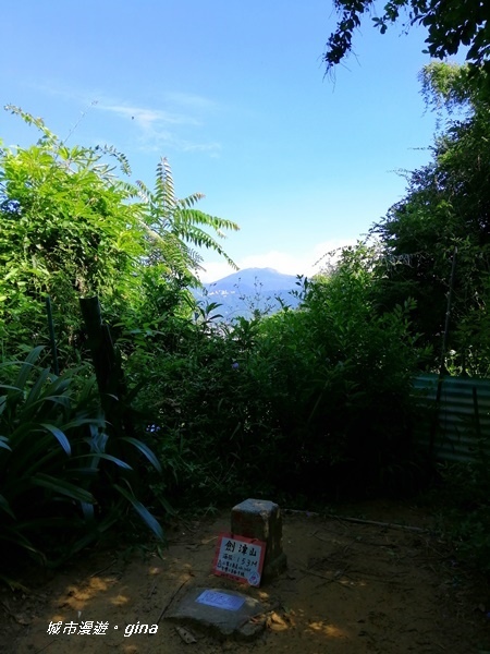 IMG_20201002_091332.jpg IMG_20201002_091332.jpg