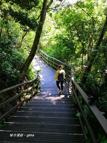 IMG_20201002_091912.jpg IMG_20201002_091912.jpg