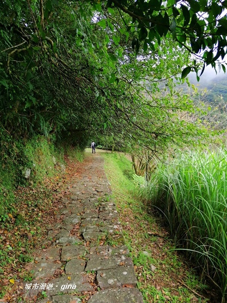 【台北北投】台北市第一高峰。 No2小百岳七星山1120M