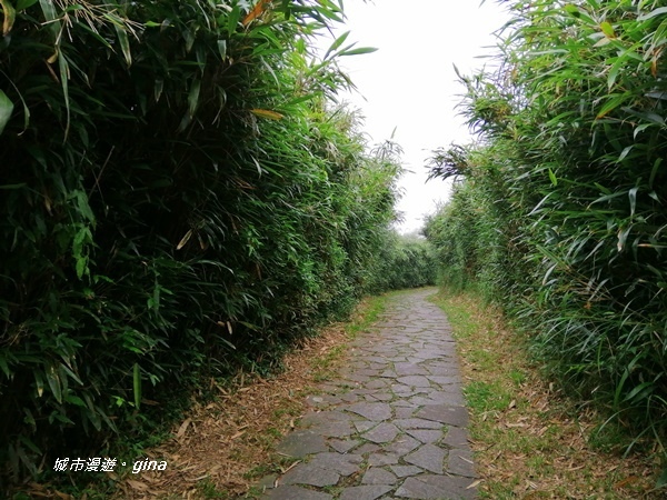 【台北北投】台北市第一高峰。 No2小百岳七星山1120M