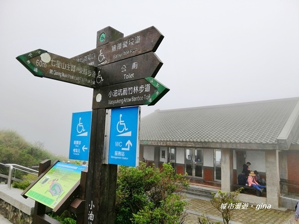 【台北北投】台北市第一高峰。 No2小百岳七星山1120M