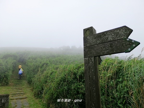 【台北北投】台北市第一高峰。 No2小百岳七星山1120M