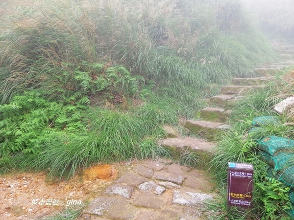 【台北北投】台北市第一高峰。 No2小百岳七星山1120M