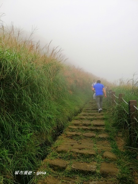 【台北北投】台北市第一高峰。 No2小百岳七星山1120M