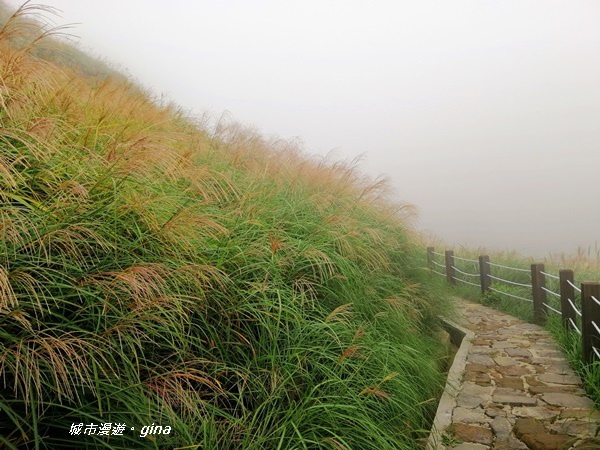 【台北北投】台北市第一高峰。 No2小百岳七星山1120M