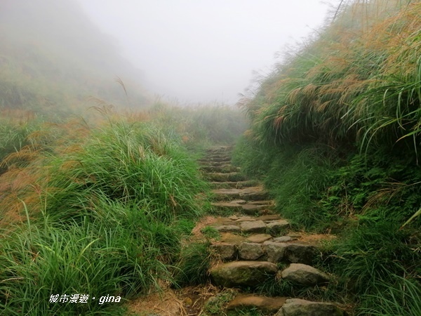 【台北北投】台北市第一高峰。 No2小百岳七星山1120M