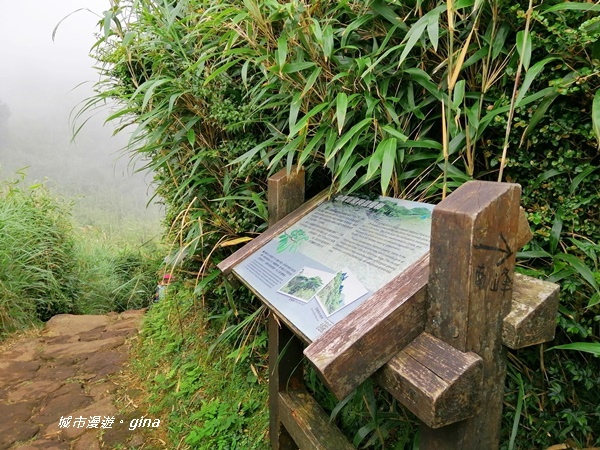 【台北北投】台北市第一高峰。 No2小百岳七星山1120M