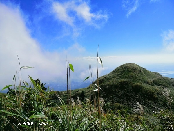 【台北北投】台北市第一高峰。 No2小百岳七星山1120M