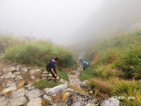 【台北北投】台北市第一高峰。 No2小百岳七星山1120M