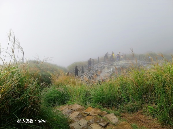 【台北北投】台北市第一高峰。 No2小百岳七星山1120M