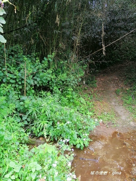 IMG_20201009_095905.jpg IMG_20201009_095905.jpg