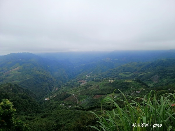 IMG_20201009_101704.jpg IMG_20201009_101704.jpg